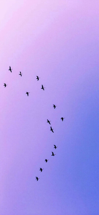 紫色系列壁纸
：）