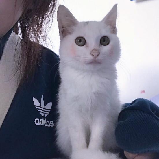 女头