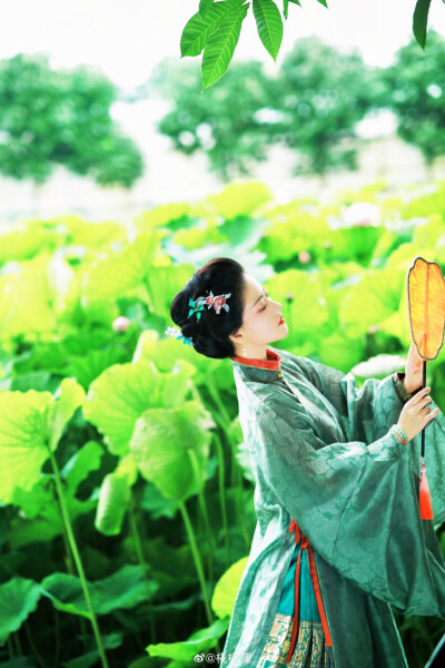 今日立秋。
“《清平乐·池上纳凉》
水天清话，院静人销夏。
蜡炬风摇帘不下，竹影半墙如画。
醉来扶上桃笙，熟罗扇子凉轻。
一霎荷塘过雨，明朝便是秋声。”