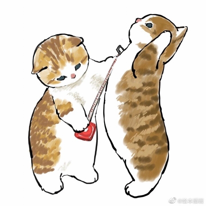 来体检鸭