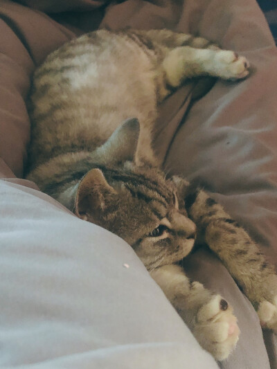 你有没有问过自己你为什么不温柔了。