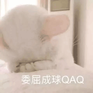 委屈猫猫吖~