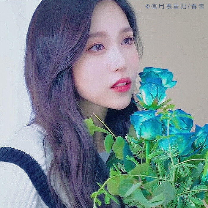 
# 蓝 色 鸢 尾 #
TWICE名井南Mina，原截林沅曦