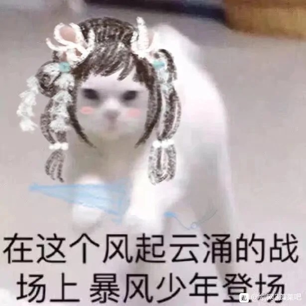 剑网三蓬莱表情包 伞萝 猫猫头 海獭 一个人打jjc太难了 伞爹 小企鹅 新门派剪影看起来像琴爹插了苍爹wifi头