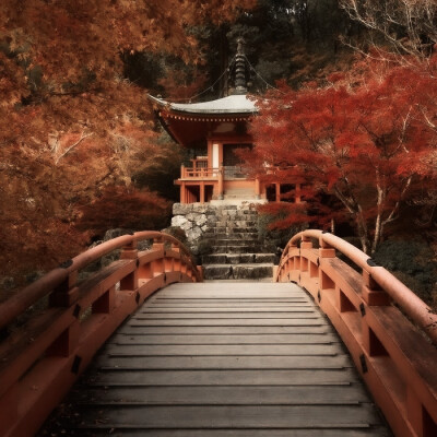 
桜と紅葉の出會い