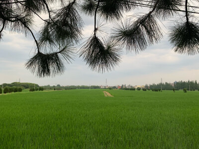 落在眼睛里的风景