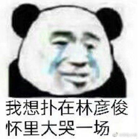 林彦俊表情包
cr.见水印 侵权删