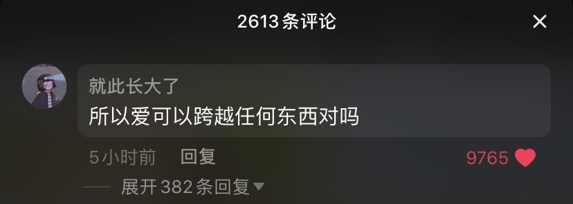 所以爱能跨越任何东西对吗