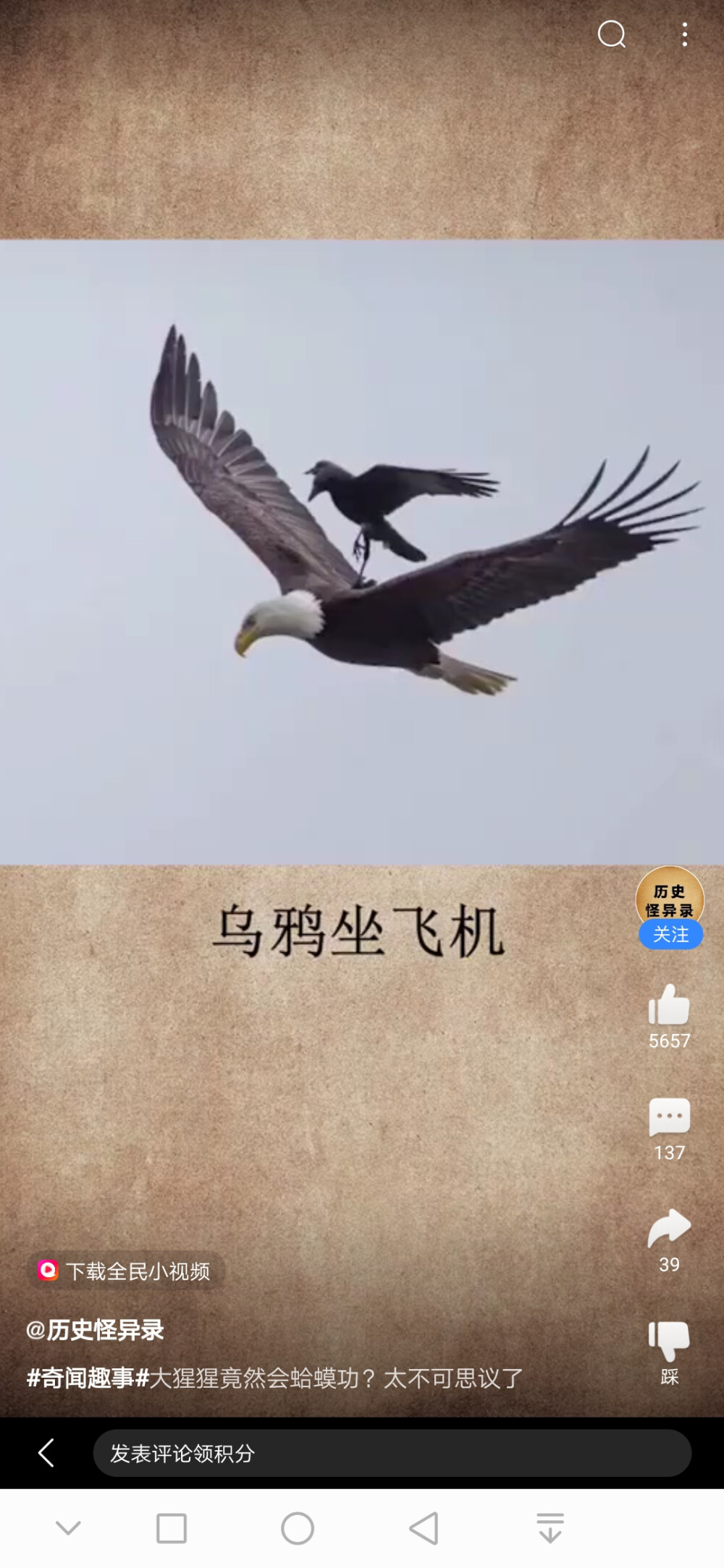 表情包