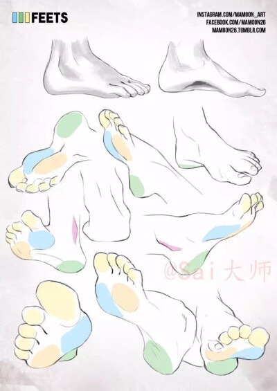 身体部位