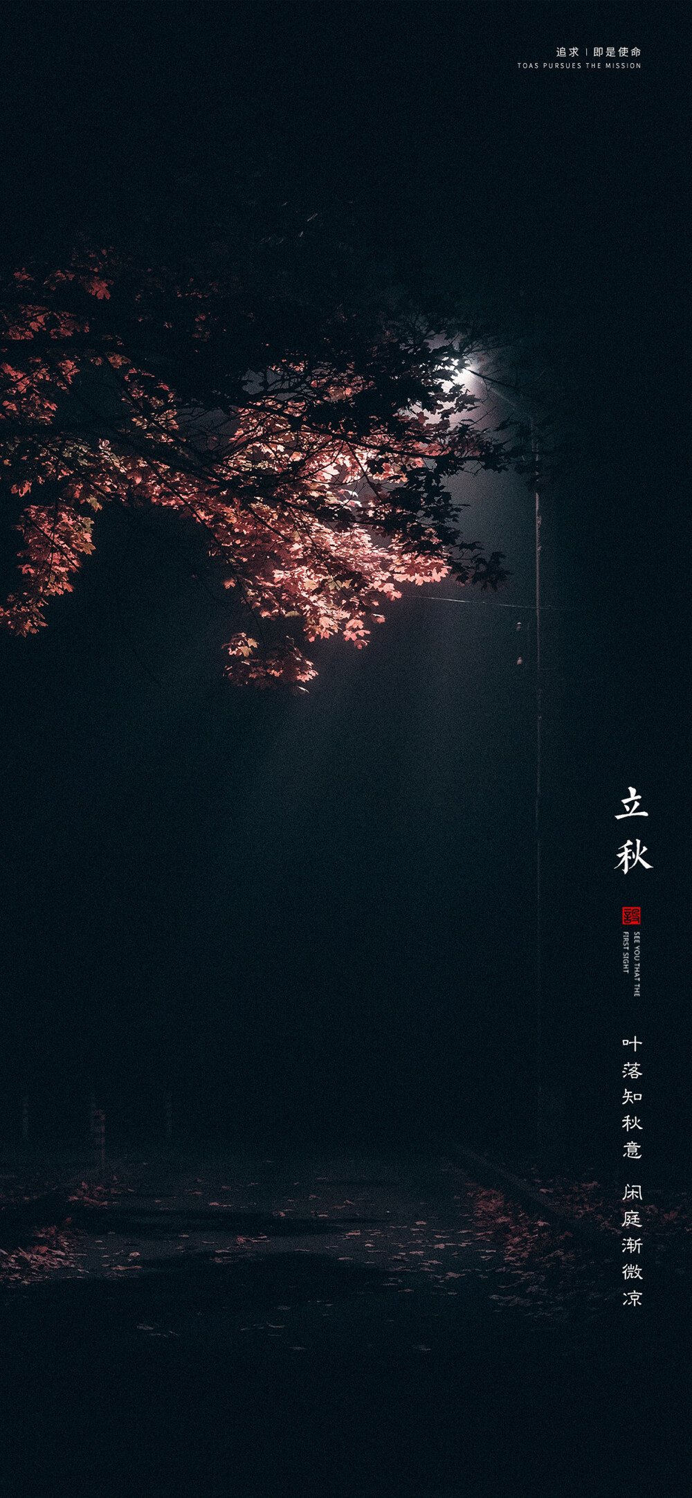 苹果11聊天背景/锁屏/壁纸/