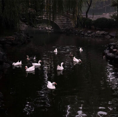 -"干脆我把你关起来吧！这样我们就能一辈子在一起了"
-闵玧其套图.
-©田糖.简介.