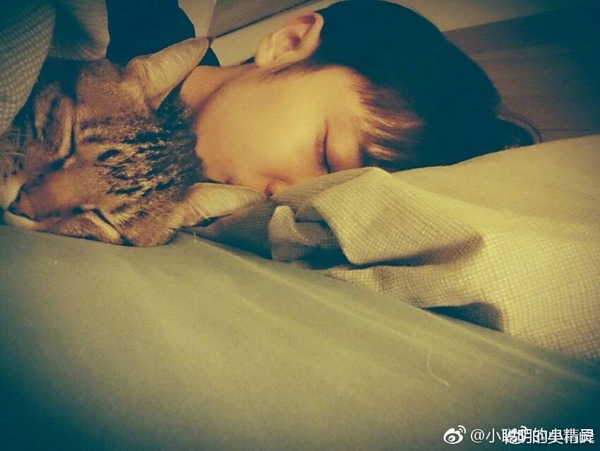 我的团