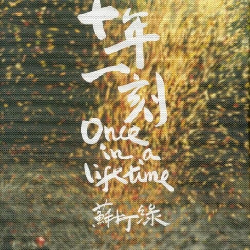 我的团