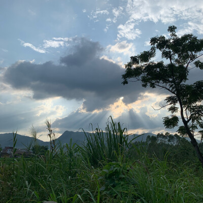 清远市阳山县