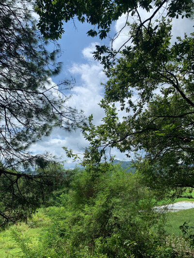 清远市阳山县