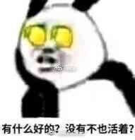 表情包 段子 萌 搞怪头像