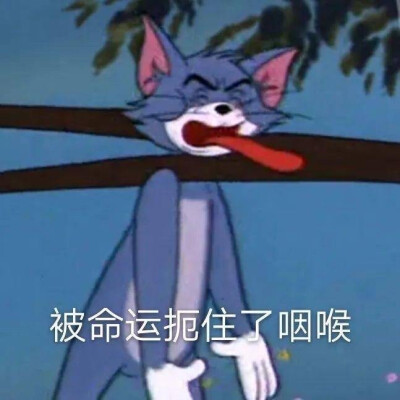 噗哈哈哈哈