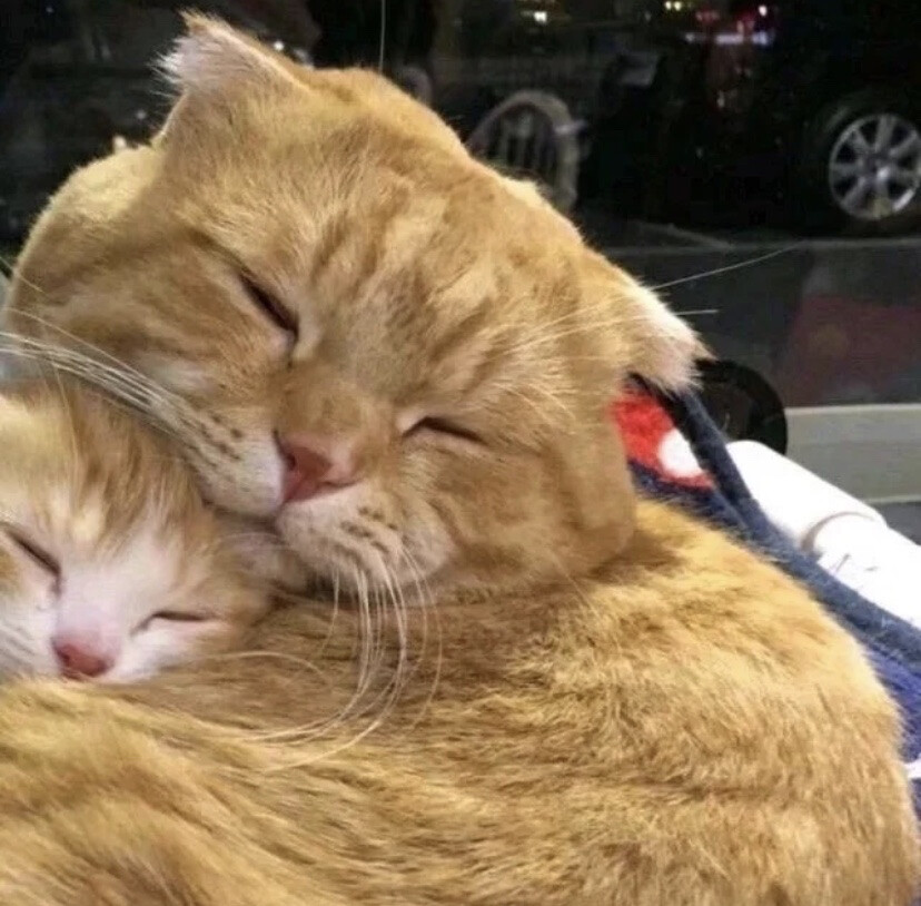 去发光 而不是被照亮