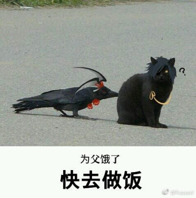 刀剑乱舞 小乌丸 真.咪酱