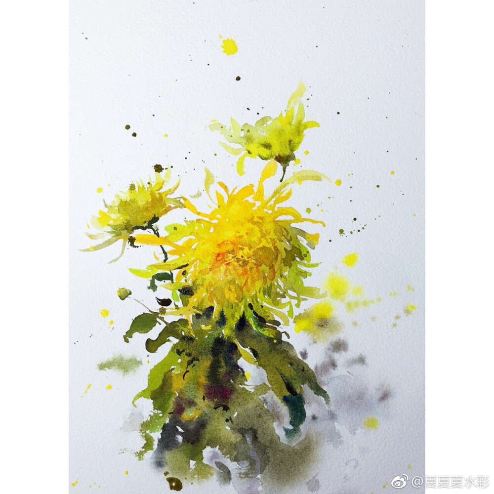 花卉