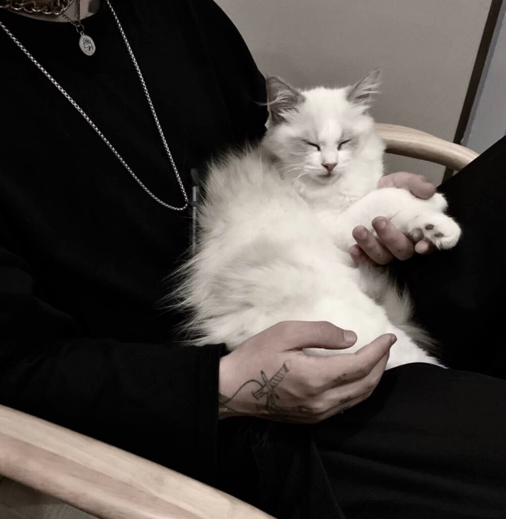 真人男头ks自截侵删