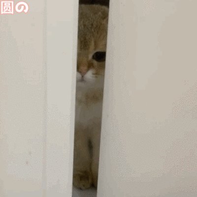 小宝贝