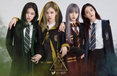 BLACK PINK全员合照 今日分享