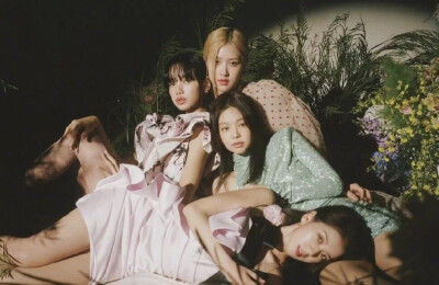 BLACK PINK全员合照 今日分享