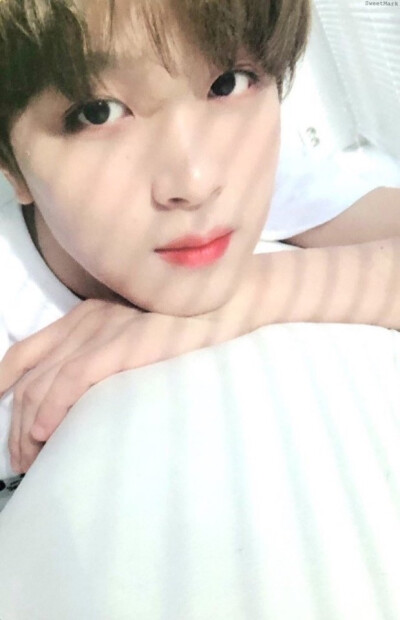 NCT楷灿