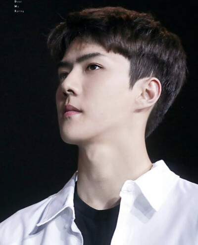 sehun