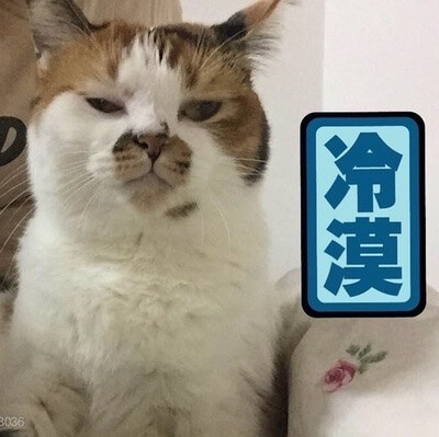 猫猫表情包 冷漠