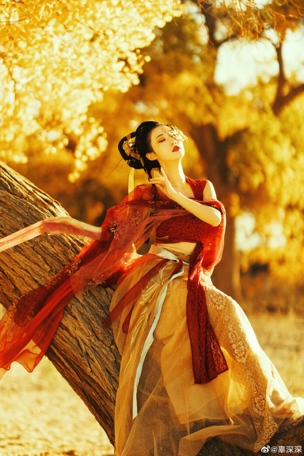 『灼华录•兮子』