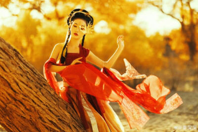 『灼华录•兮子』