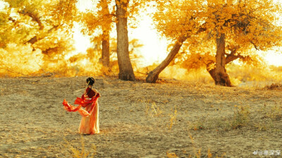 『灼华录•兮子』