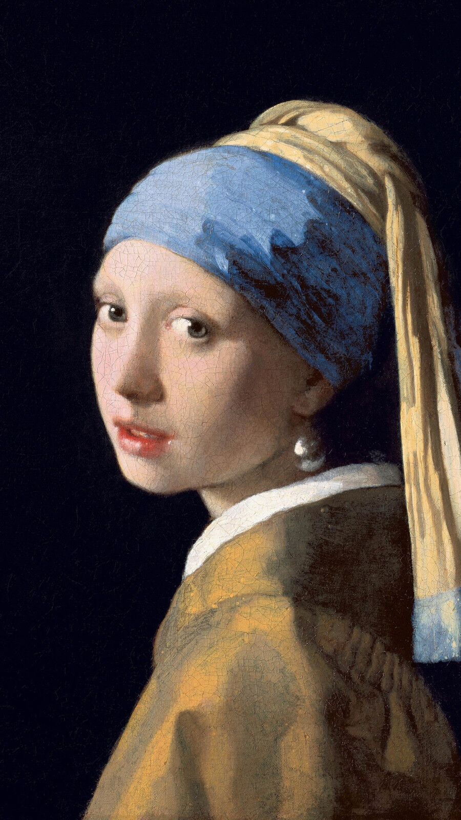 Johanns Vermeer (1632-1675)