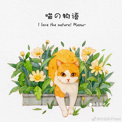 猫水彩插画