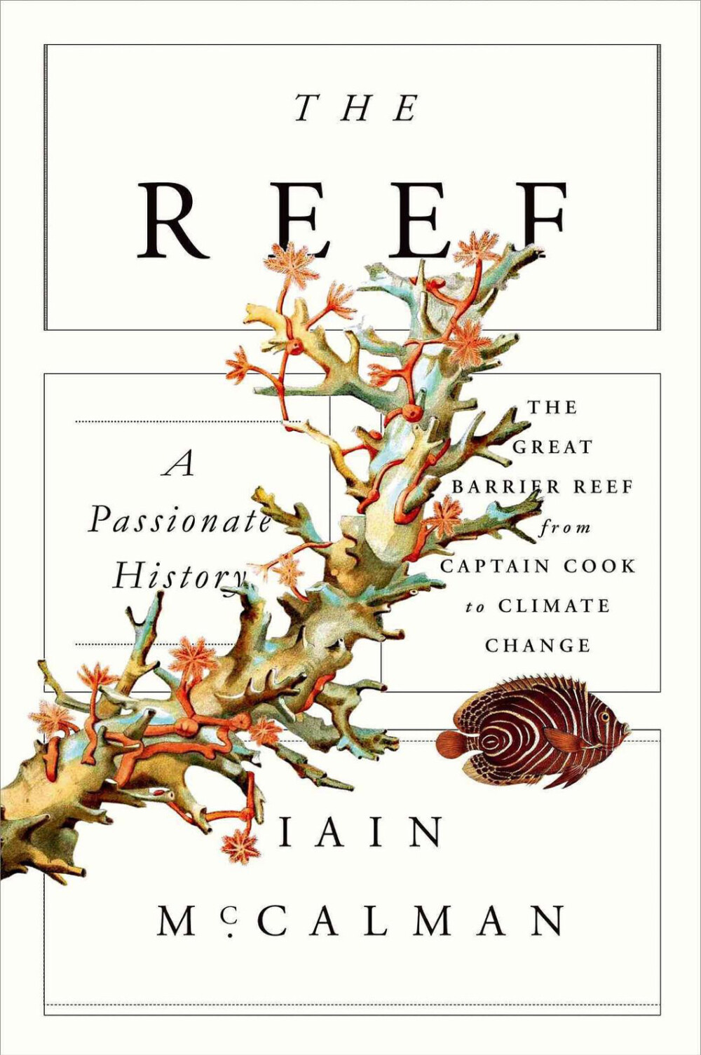 《the reef,a passionate history》