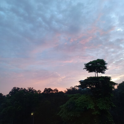 彩霞 天空 日落 紫色 黄色 粉色 （自己拍的 抱图点赞收藏）