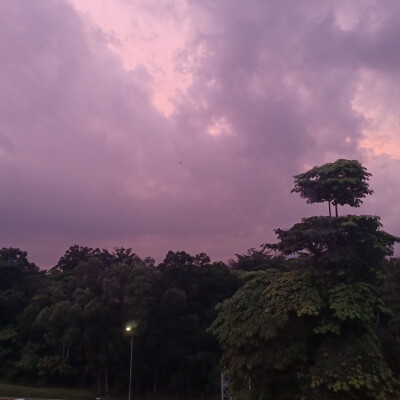 彩霞 天空 日落 紫色 黄色 粉色 （自己拍的 抱图点赞收藏）