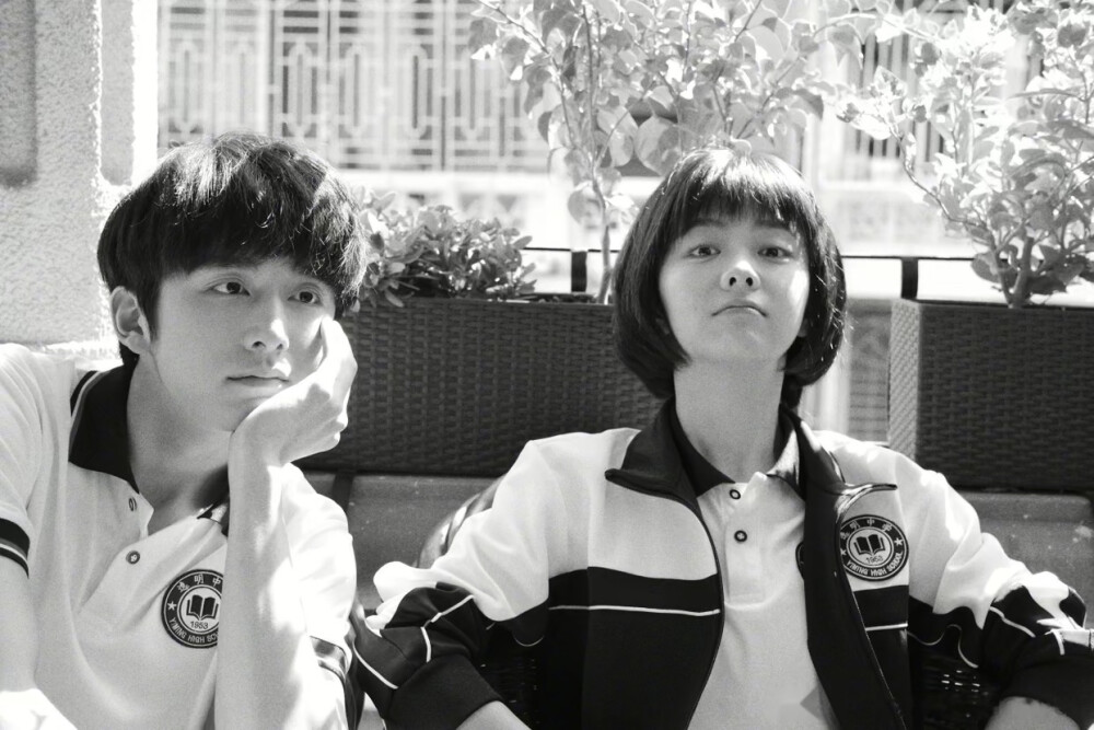 谭松韵李尖尖
以家人之名宋威龙张新成凌霄贺子秋