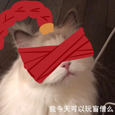 lol英雄联盟头像