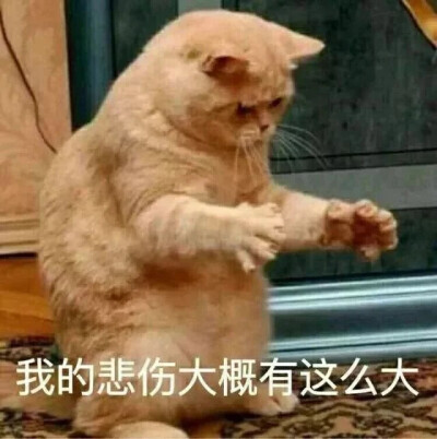 沙雕表情包