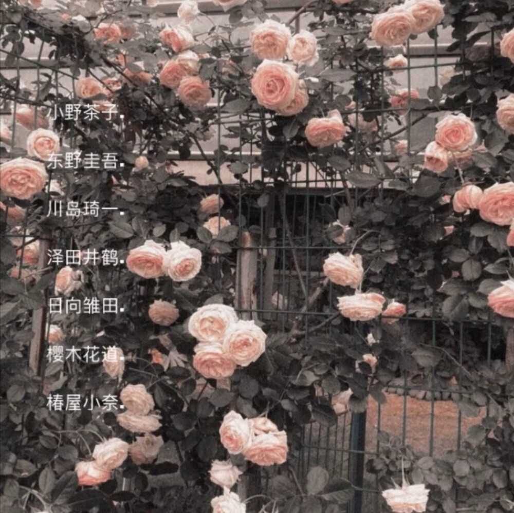 春日限定的日系网名☘️
建议收藏❗