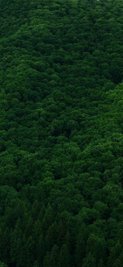 手机壁纸/背景
