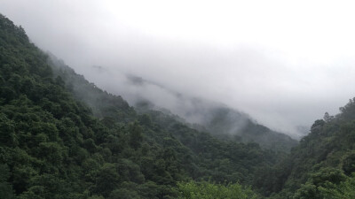 自摄
广西玉林市 山里云雾