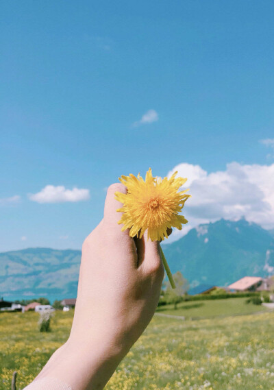 
꒰ 在‎白​‎开水一样淡的日‎‎子里 ‎多放​两勺糖 ꒱