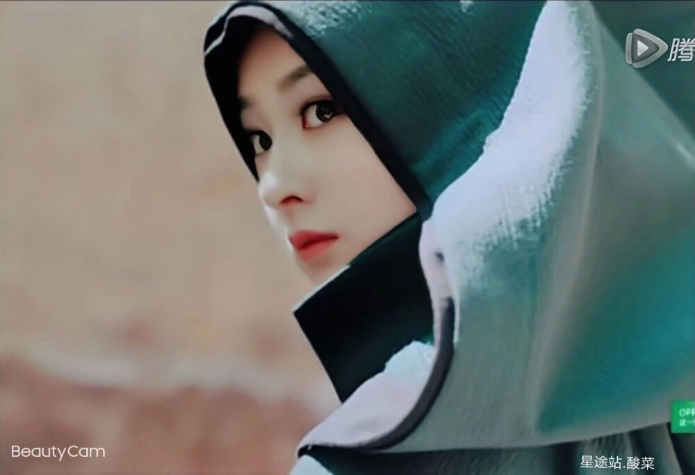 赵丽颖 拿图看简介