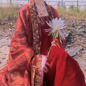 清风不减旧时暖，只想与君共长安