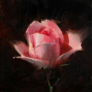 花卉